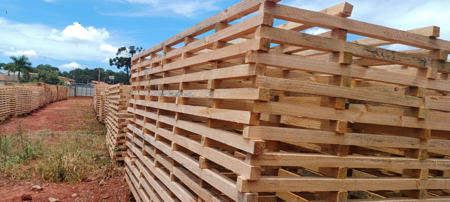 WhatsApp Image 2025-02-12 at 12.01.58 (2).jpeg