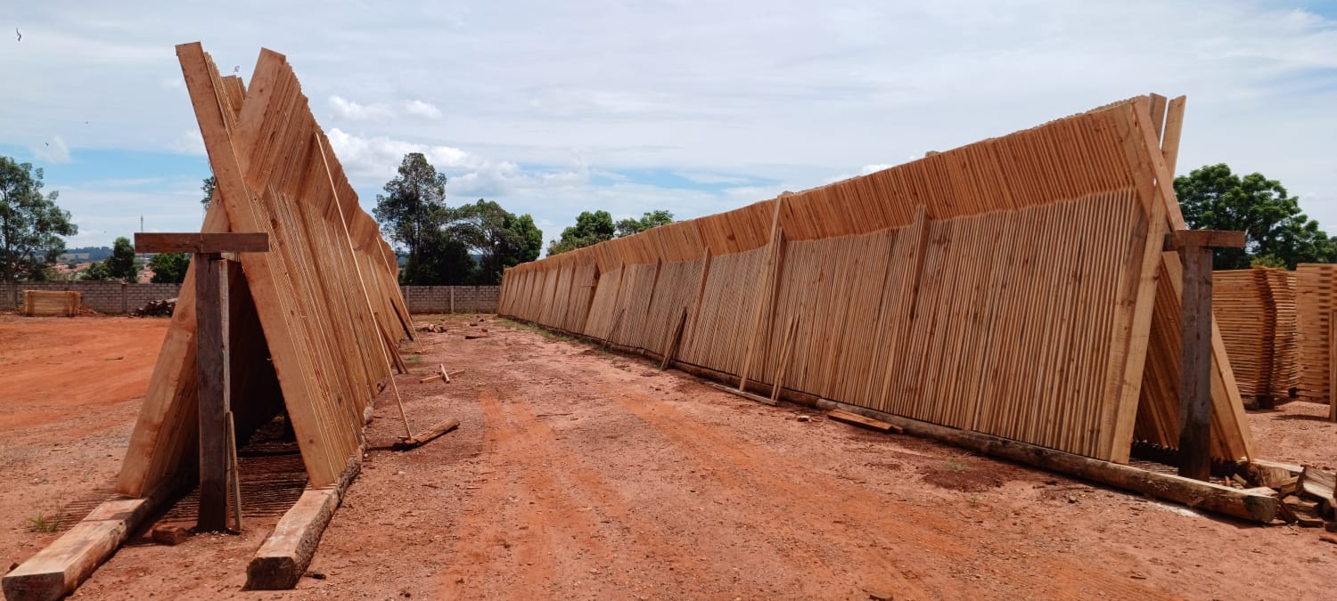 WhatsApp Image 2025-02-12 at 12.02.08.jpeg