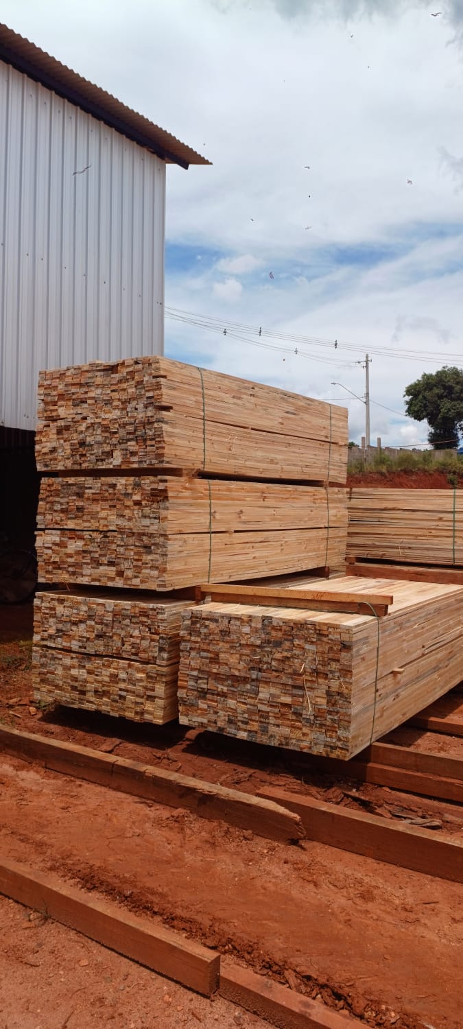 WhatsApp Image 2025-02-12 at 12.04.38.jpeg