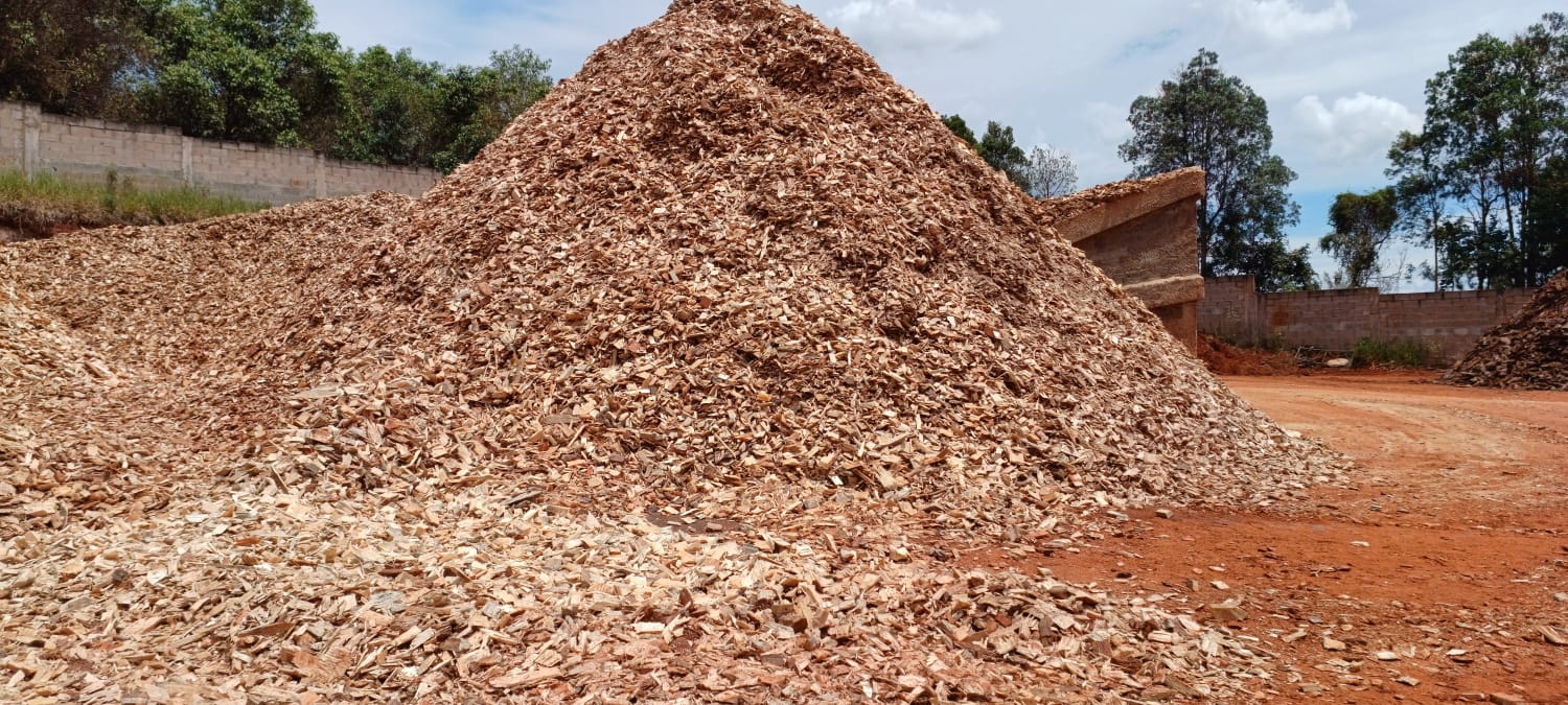 WhatsApp Image 2025-02-12 at 12.02.512.jpeg