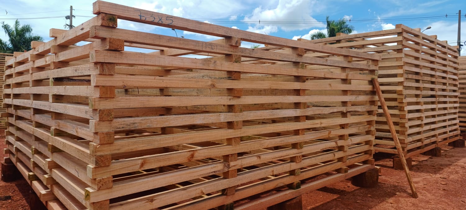 WhatsApp Image 2025-02-12 at 12.02.00.jpeg