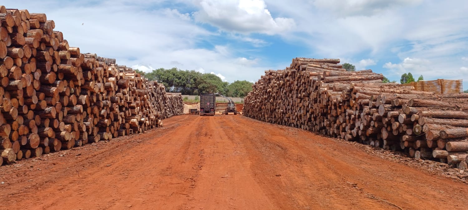 WhatsApp Image 2025-02-12 at 12.05.33.jpeg