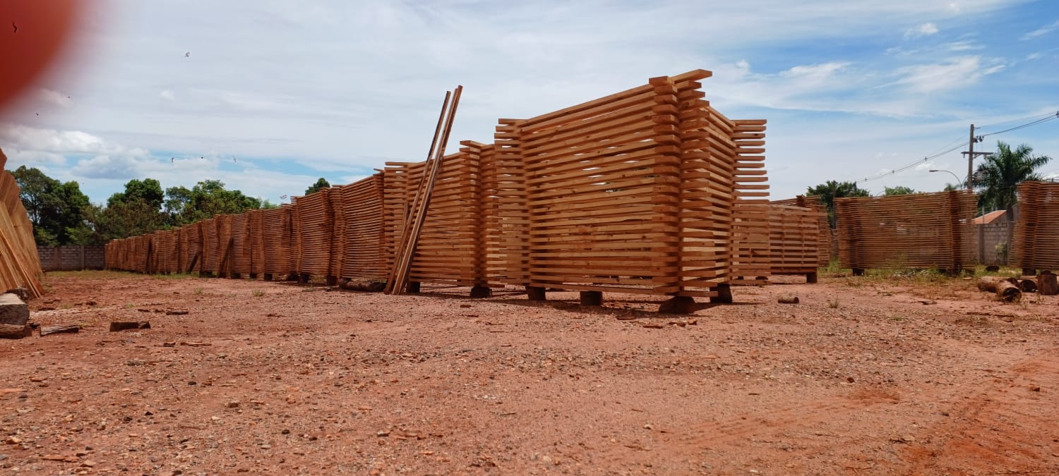 WhatsApp Image 2025-02-12 at 12.02.07.jpeg